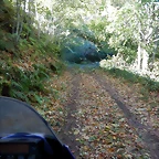 DSCN0046
