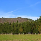 57-IMG_5555