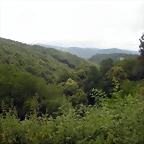 DSCN4783
