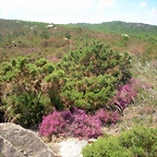 DSCN5375