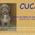 CUCA Sevilla