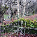DSCN7319