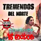 Los Tremendos Del Norte - 18 Exitos CD