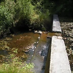 DSCN5348
