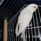 CIMG0112