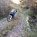 DSCN9140