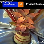 foto fuente mediana
