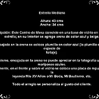 Descripcion estrella mediana