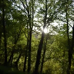 DSCN2133