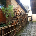 DSCN4321