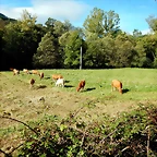 DSCN9133