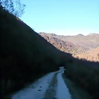 DSCN6888