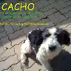 CACHO Ecija