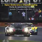 Cartell FIA GT - Cursa 6h