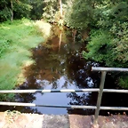 DSCN8406