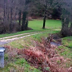 DSCN5306