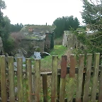 DSCN5312