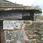 DSCN4704