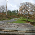 DSCN4708