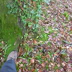 DSCN4657