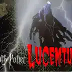 Firma lucemtum