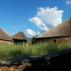 DSCN2342
