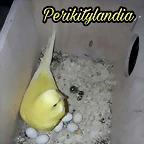 FB_IMG_1501748089624