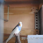 CIMG0430