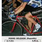 Perico-Cromo-Reynolds 1988b