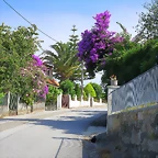 41-IMG_2222