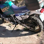 reyes 030