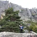 TRANSALPsos en las cumbres