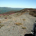 DSCF2562