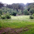 DSCN4578