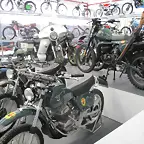 IMG_1595