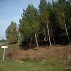 DSCN9731