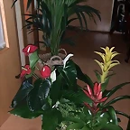 Regalo Marhaya Guerrer 43