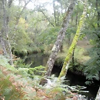 DSCN8963