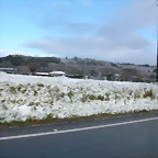 DSCN7497