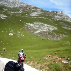 DSCN8140