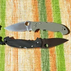 41