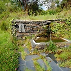DSCN9603