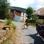DSCN6652