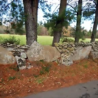DSCN9363
