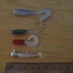 Grubs