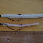 Worms