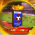 bloomingcampeon