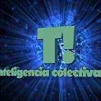 965556taringa-6