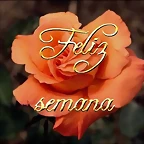 Lunes.Feliz semana.Rosa
