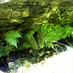 DSCN6691